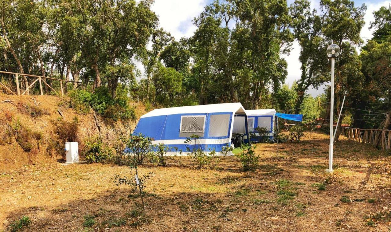 Camping Camping Le Venelle